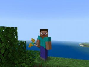 Morph Mod for Minecraft PE Download
