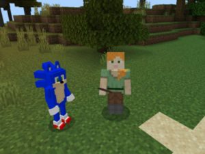 Sonic Mod for Minecraft PE Download
