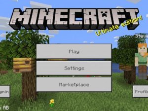 Minecraft PE 1.14.30