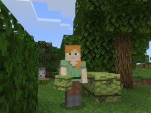 Bamboo Mod for Minecraft PE Download
