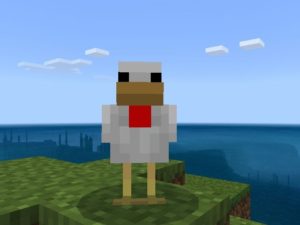 Chicken Mod for Minecraft PE Download