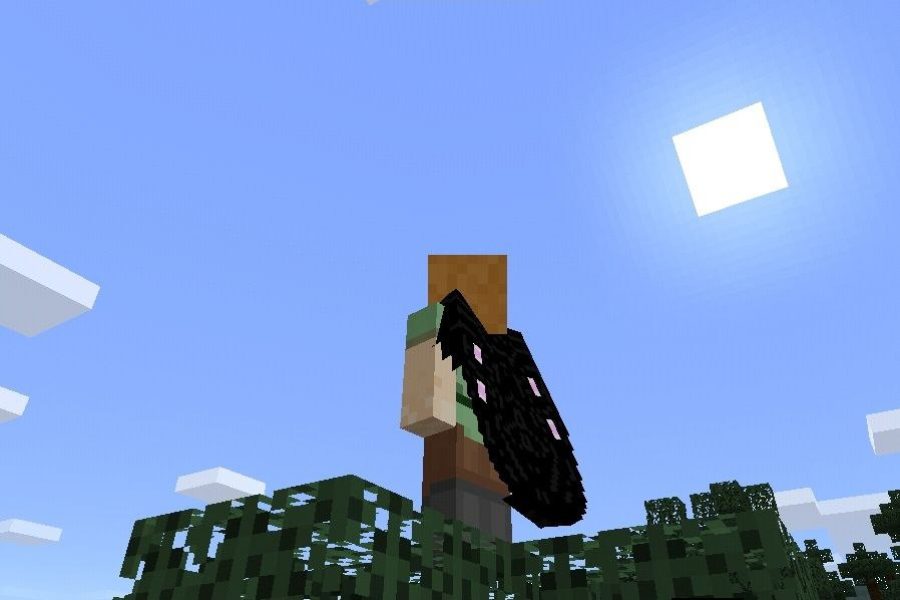 Elytra Texture Pack for Minecraft PE Download