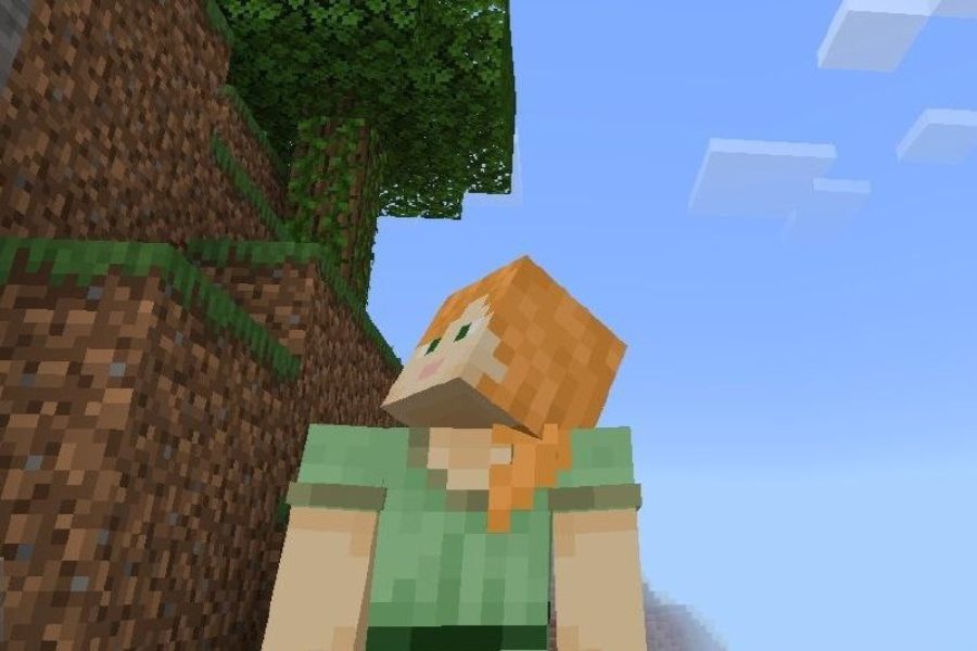 Third Person Camera Mod for Minecraft PE Download