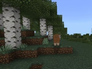 3D Texture Pack for Minecraft PE Download