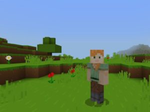 Bare Bones Texture Pack for Minecraft PE Download