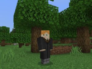 Harry Potter Mod for Minecraft PE Download