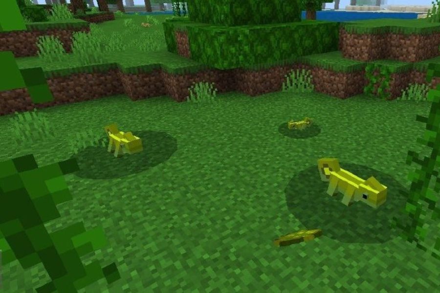 Chameleon Mod for Minecraft PE Download
