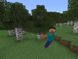 Roll Mod for Minecraft PE Download