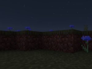 Night Vision Shader for Minecraft PE Download