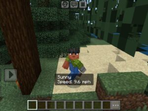 Speedometer Mod for Minecraft PE Download