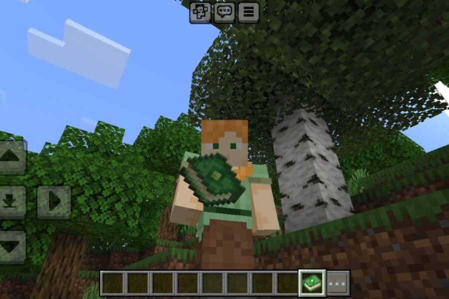 True Experience Book Mod for Minecraft PE Download