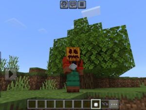 Zoom Mod for Minecraft PE Download