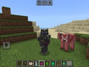 Fallout Westers Mod for Minecraft PE Download