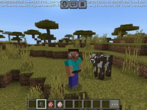 Animated Texture Pack for Minecraft PE Download