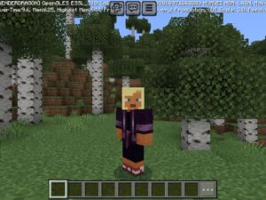 FPS Mod for Minecraft PE Download