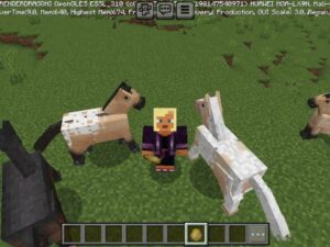 Horse Texture Pack for Minecraft PE Download